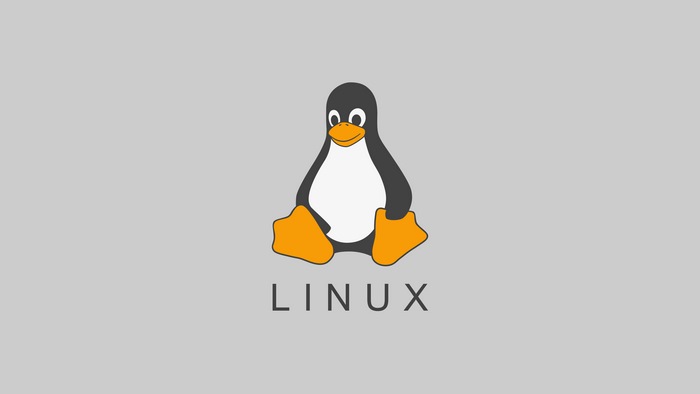 Tux the Linux mascot