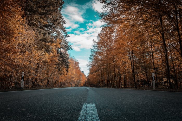 Autumn forest road with colorful trees