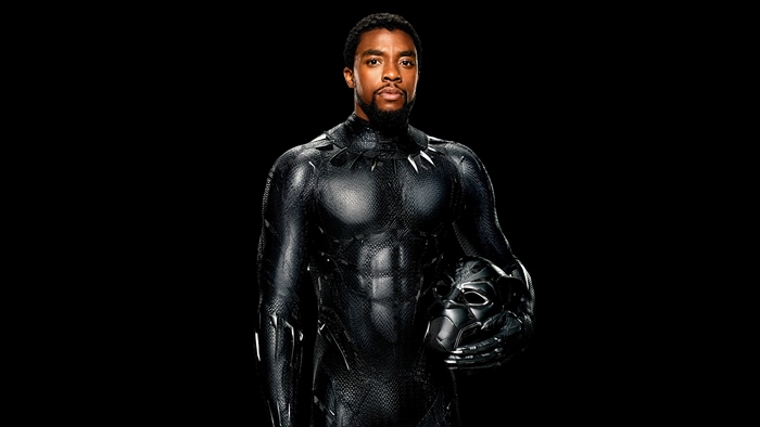 Chadwick Boseman as Black Panther