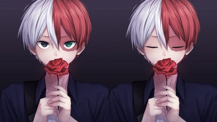 Shouto Todoroki Holding a Rose