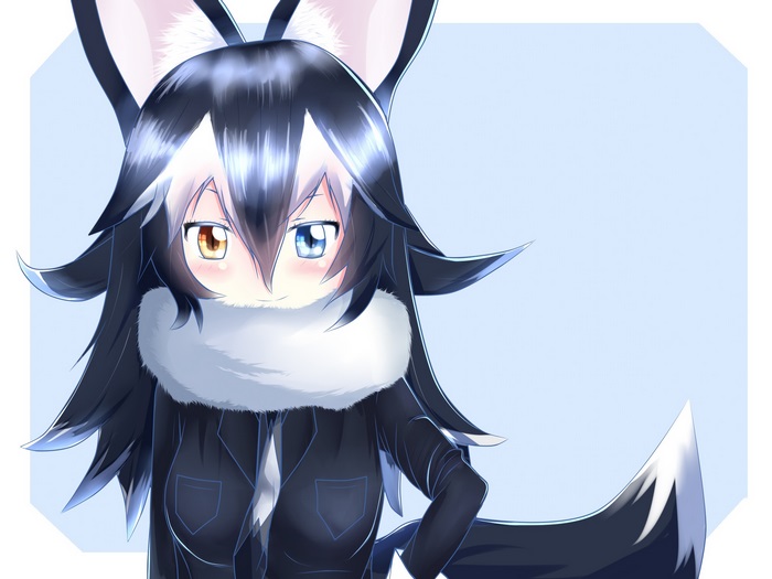 Gray Wolf from Kemono Friends with Heterochromia