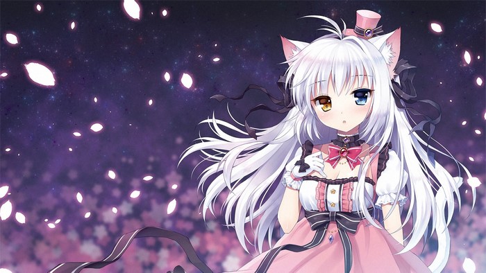 Cat Girl with Heterochromia and Pink Dress