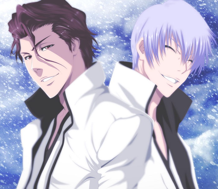 Sōsuke Aizen and Gin Ichimaru from Bleach