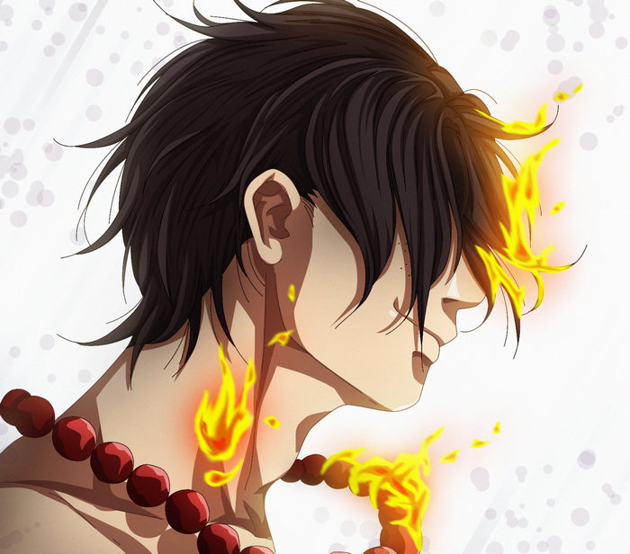 Portgas D. Ace with Flame Powers
