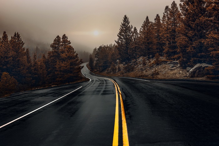 Winding Road Through Autumn Forest
