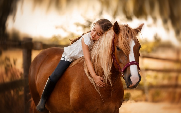 Little Girl Hugging Chestnut Horse in Soft Light