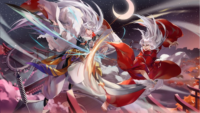InuYasha and Sesshomaru fighting