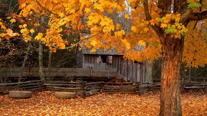 Autumn scene with old wooden building and water wheel