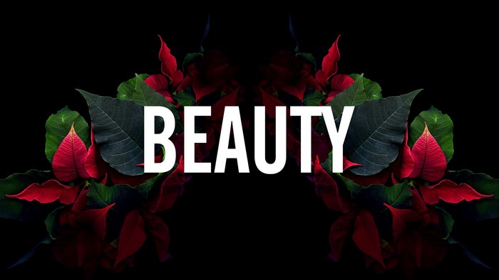 BEAUTY text with poinsettias