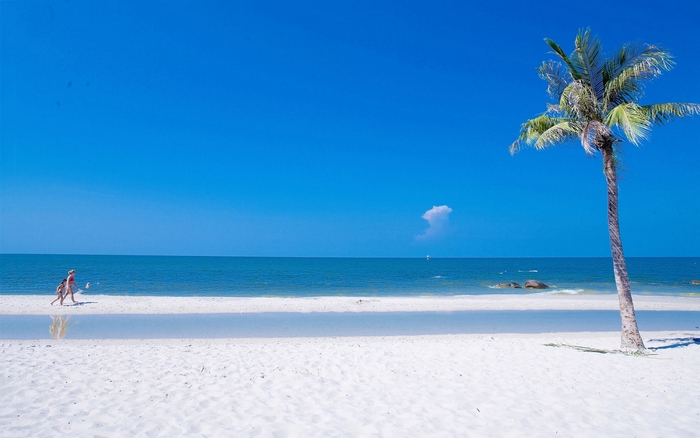 Two people walking on a tropical beach with palm tree