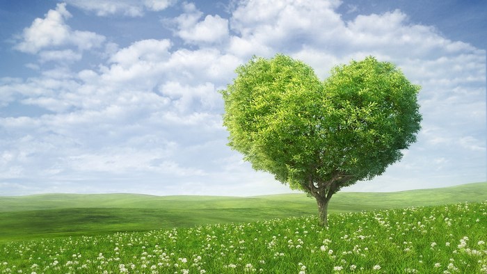 Heart-shaped tree in a green field under clouds