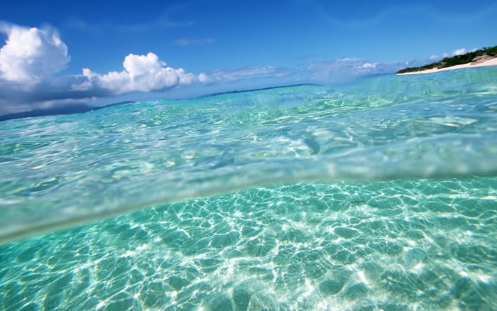Ocean surface and underwater view