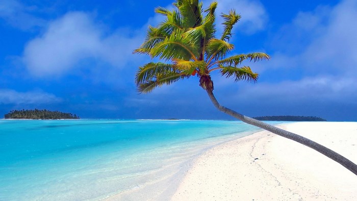 Tropical beach with palm tree and islands