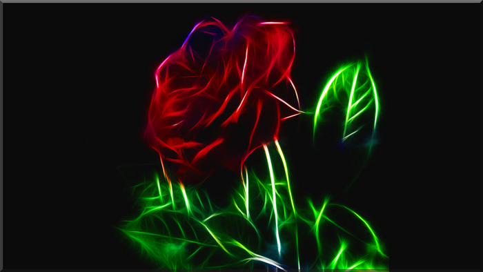 Fractal rose with green leaves on black background