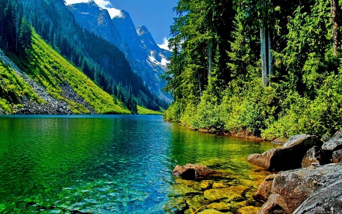 Mountain Lake Landscape with Forest