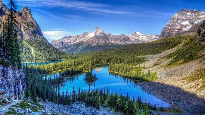Mountain lake and forest landscape