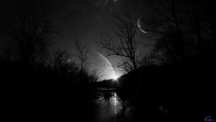 Dark night sky with planets and trees