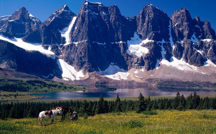Horses and person in a mountain landscape with a lake
