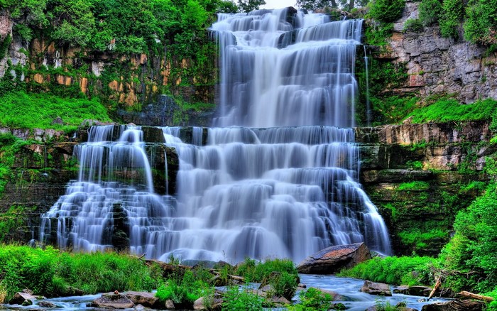 Cascading Waterfall in a Lush Green Forest