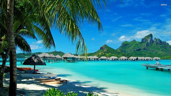 Overwater bungalows in Bora Bora with palm trees