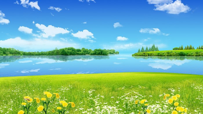 Spring landscape with lake and flowers