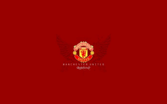 Manchester United logo with wings