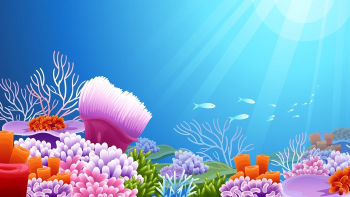 Underwater scene with coral reefs and fish
