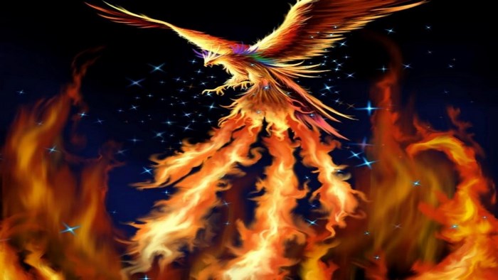 Phoenix rising from flames with stars