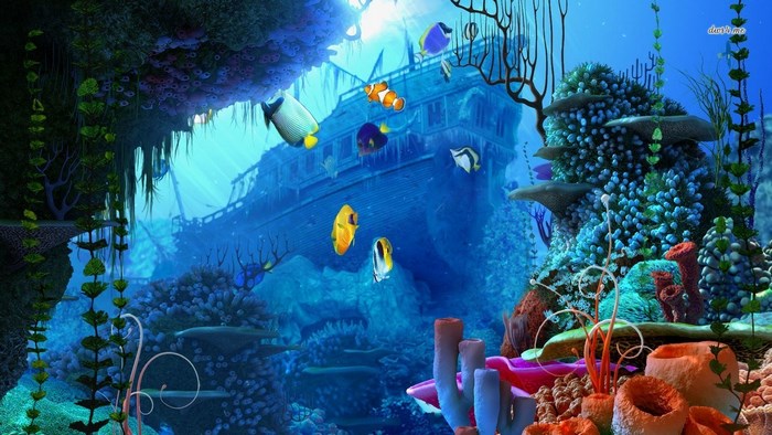 Underwater shipwreck with colorful fish and coral
