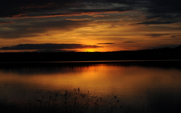 Sunset over a lake with silhouetted trees