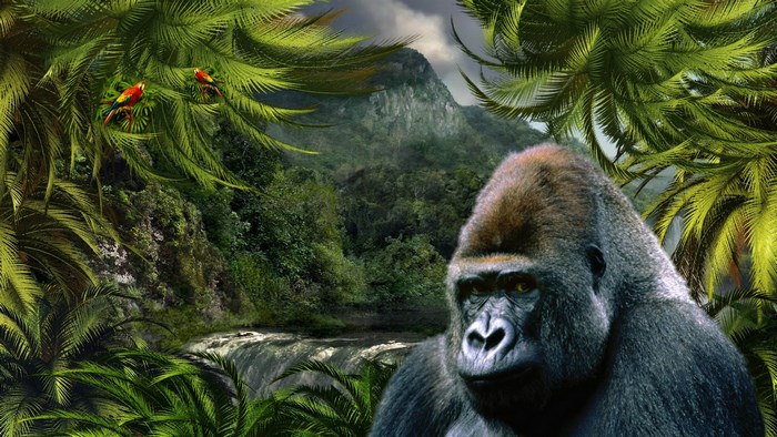 Gorilla in a jungle with parrots and waterfall