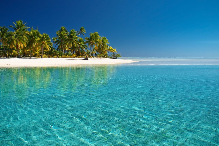 Tropical island with palm trees and clear blue water