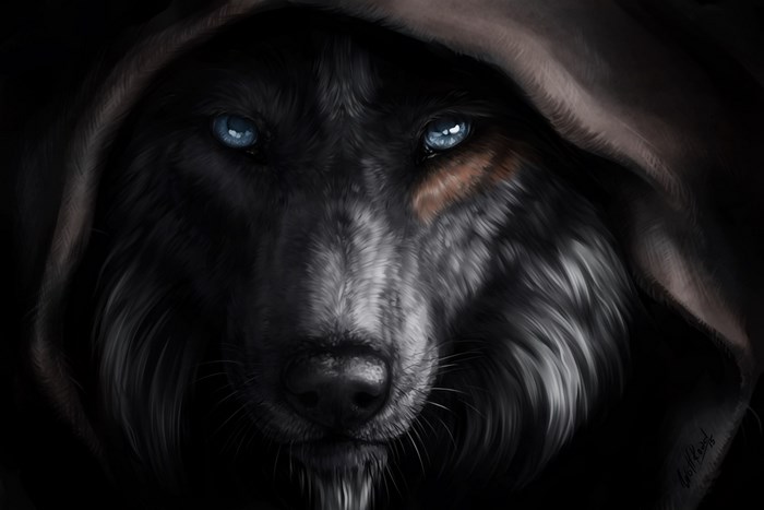 Mysterious Wolf with Piercing Blue Eyes