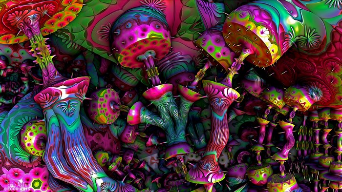 Psychedelic mushrooms with vibrant colors
