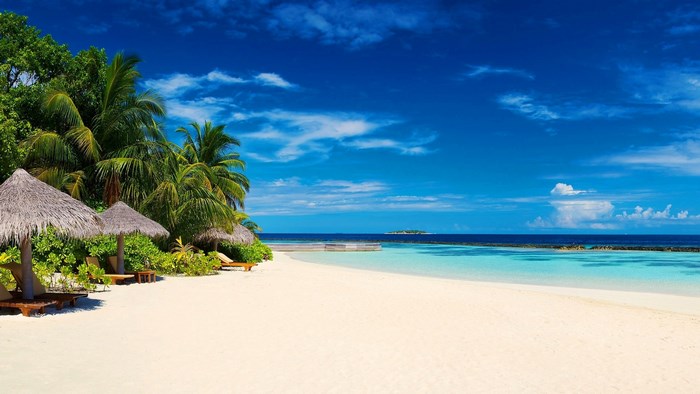 Tropical beach with palm trees and umbrellas