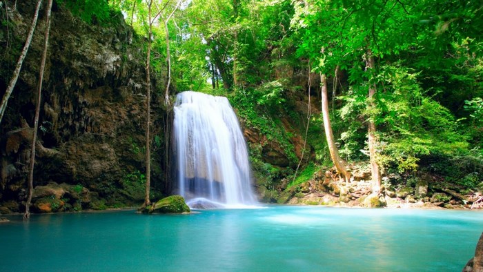 Waterfall in a lush green forest