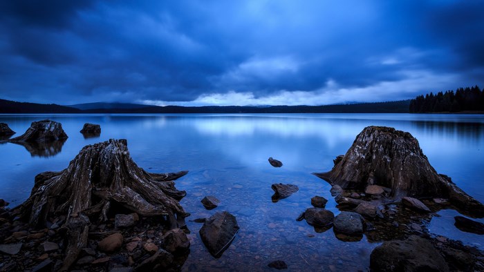 4K lake with tree stumps and clouds