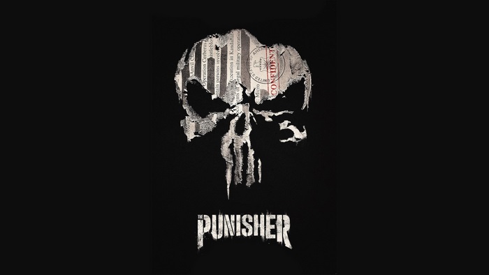 The Punisher Skull Logo