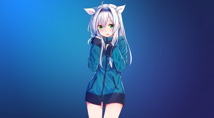 Anime Girl with White Hair and Cat Ears in Blue Hoodie 4K