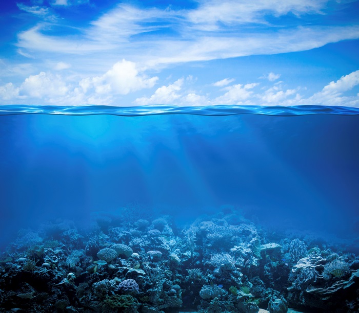 Underwater Coral Reef with Blue Sky
