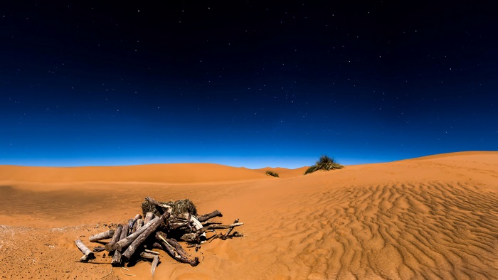 Sahara Desert at Night with Stars