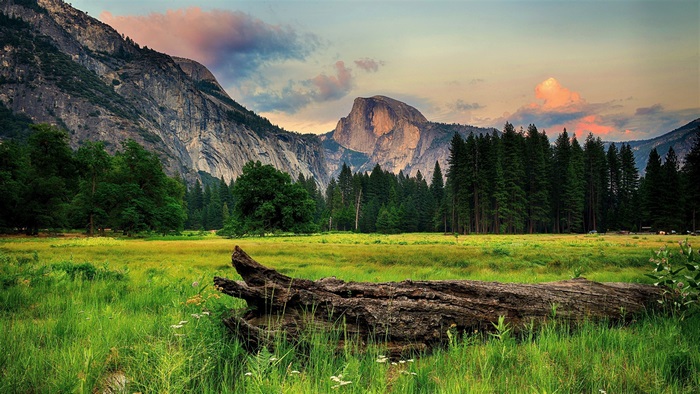 Yosemite Valley Landscape in 4K