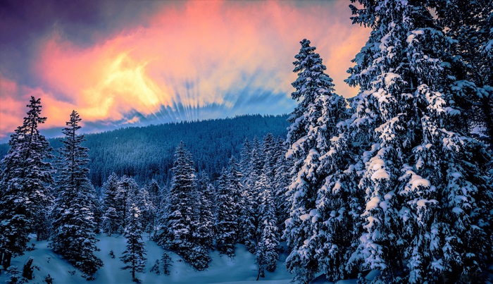 Winter forest with colorful sunset sky