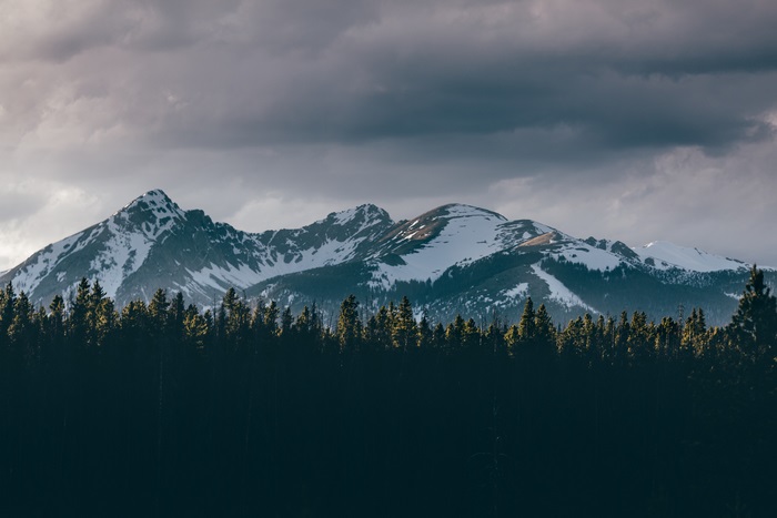 Snow-capped mountains behind a dark forest