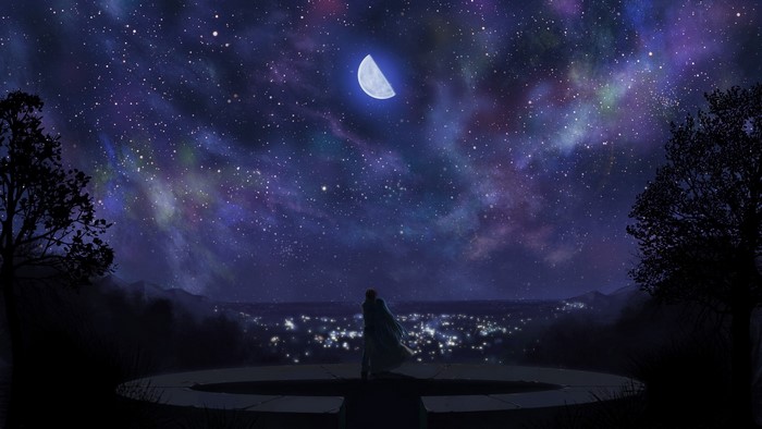 Anime couple under a starry night sky