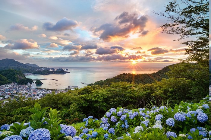Sunset over a Japanese coastal town with hydrangeas