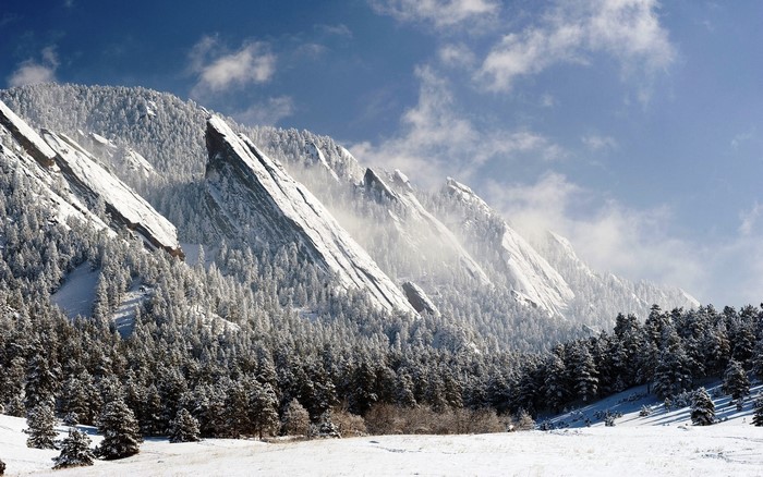 Snow-Covered Mountains and Pine Forest in Colorado