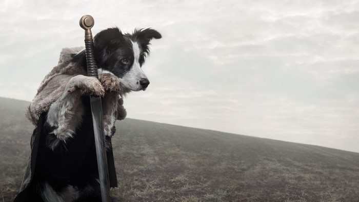 Dog dressed as a warrior with a sword