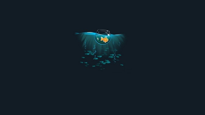 Goldfish in a bowl surrounded by other fish