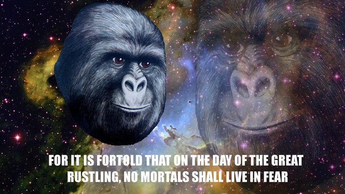Gorillas in Space with Prophecy